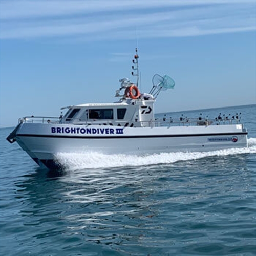 mini cruise mini cruise